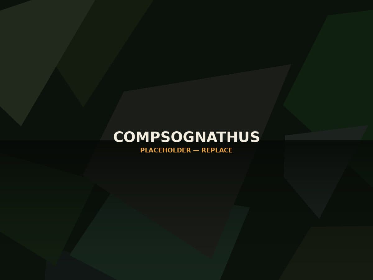 Compsognathus