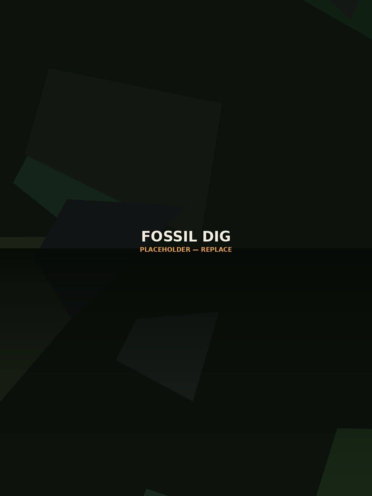 Fossil Dig Site
