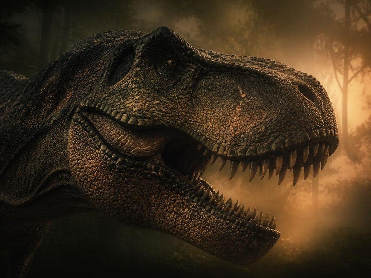 Rex — The King