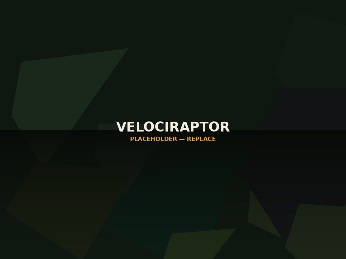 The Raptor Pack