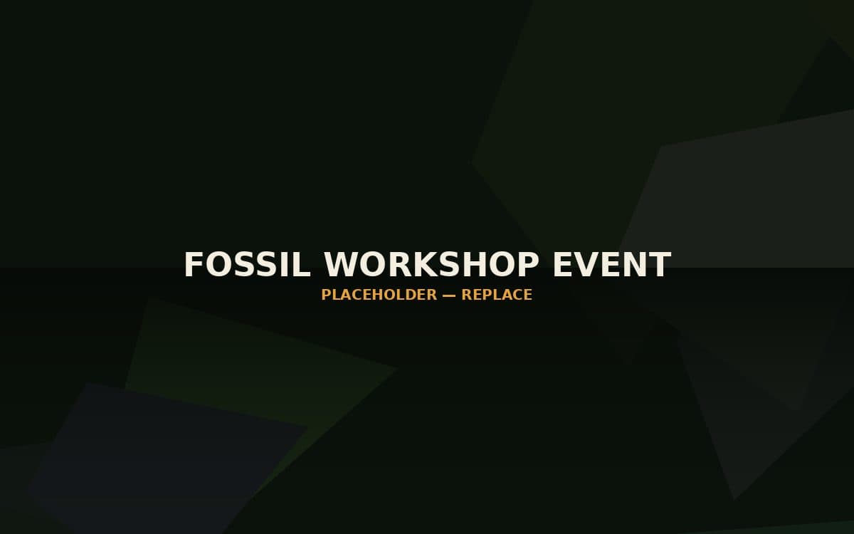 Fossil Discovery Workshop
